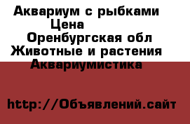 Аквариум с рыбками › Цена ­ 1 000 - Оренбургская обл. Животные и растения » Аквариумистика   